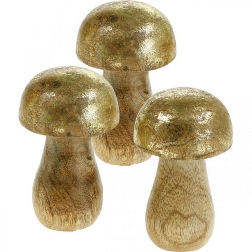 Floristik24 Cogumelo, manga, madeira, ouro, cogumelo decorativo natural Ø6cm Alt.10cm 4 unidades
