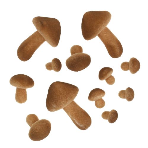 Floristik24 Mistura de cogumelos castanho claro 2cm - 8cm 12pcs