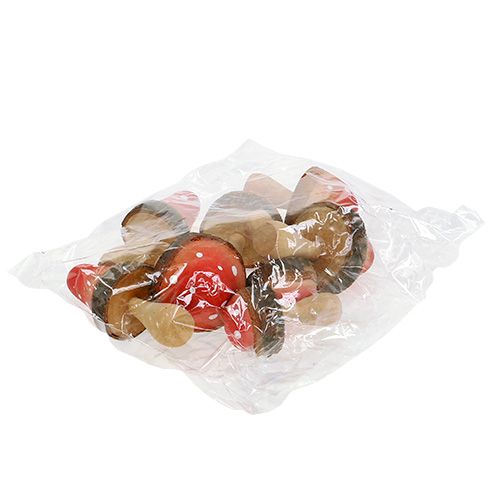 Floristik24 Cogumelos de madeira misturam 5,5cm - 8cm 8pcs