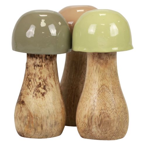 Floristik24 Cogumelos de madeira cogumelos decorativos madeira bege, verde Ø5cm Alt.10,5cm 6 unidades