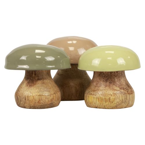 Floristik24 Cogumelos Deco de Madeira Cogumelos Deco de Madeira Bege, Verde Ø5cm Alt.5,5cm 12pcs