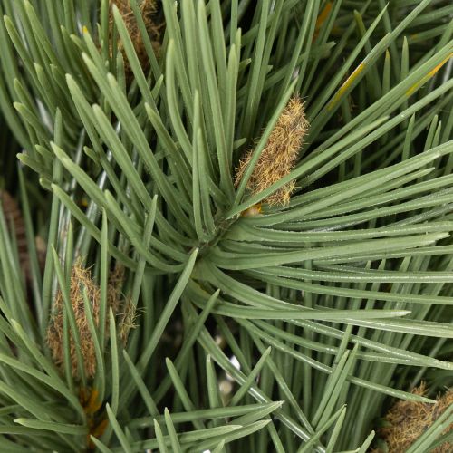 Ramo decorativo artificial de pinheiro para arranjos, 39 cm, 6 peças | Floristik24.pt