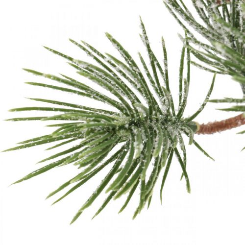 Floristik24 Ramos de natal ramo de pinho artificial nevou 30 cm 6 unidades