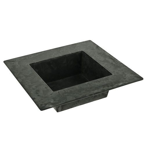 Floristik24 Tigela de plástico 12x12x5cm quadrada antracite, 1 peça