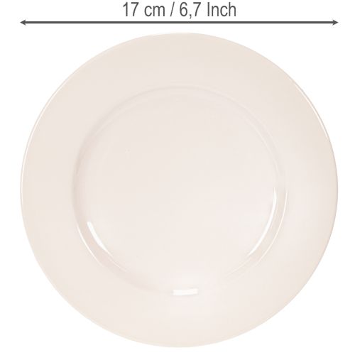 Pratos redondos e simples para decoração e pequenos arranjos, 17 cm, conjunto de 6 peças. | Floristik24.pt