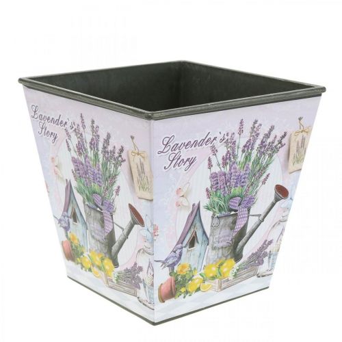 Floristik24 Vaso motivo lavanda, vaso decorativo quadrado, cachepot de plástico A13cm L13,5cm