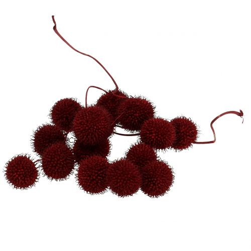 Floristik24 Frutos de plátano secos vermelho escuro 250g
