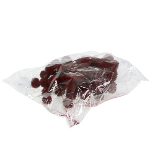 Floristik24 Frutos de plátano secos vermelho escuro 250g
