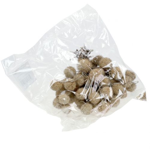 Floristik24 Frutas planas lavadas de branco 250g