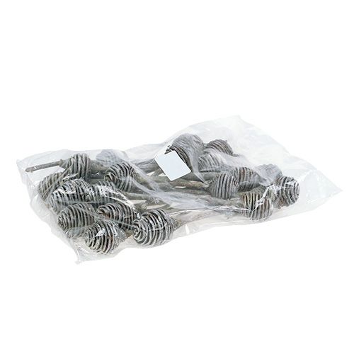 Itens Platyspermum 25 unid. Branco lavado