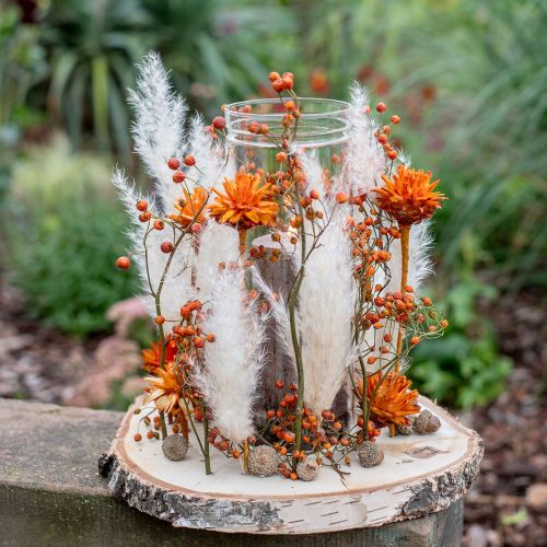 Itens Plumosum 1 Laranja 25 unid.