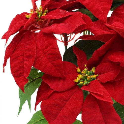 Itens Estrela de Natal Artificial Vermelho Flores artificiais em vaso H53cm