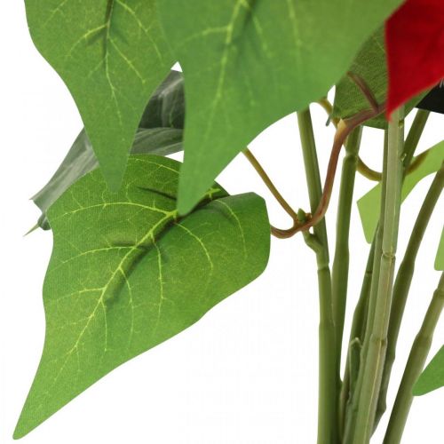 Floristik24 Estrela de Natal Artificial Vermelho Flores artificiais em vaso H53cm