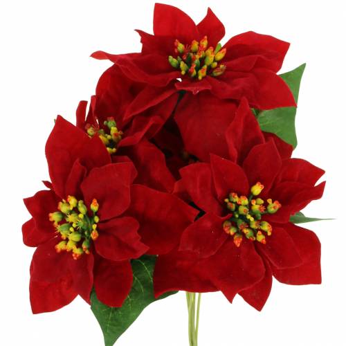 Floristik24 Buquê de poinsétia veludo vermelho 35cm