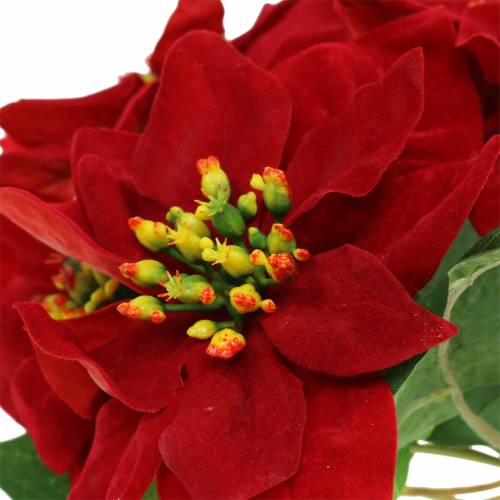 Itens Bouquet de poinsétias veludo vermelho 35cm