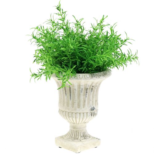 Floristik24 Copo de planta creme antigo Ø14cm H17cm