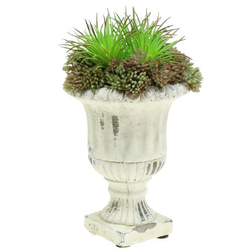Floristik24 Copo de creme de pedra fundido antigo Ø9cm Alt.12cm 2pçs