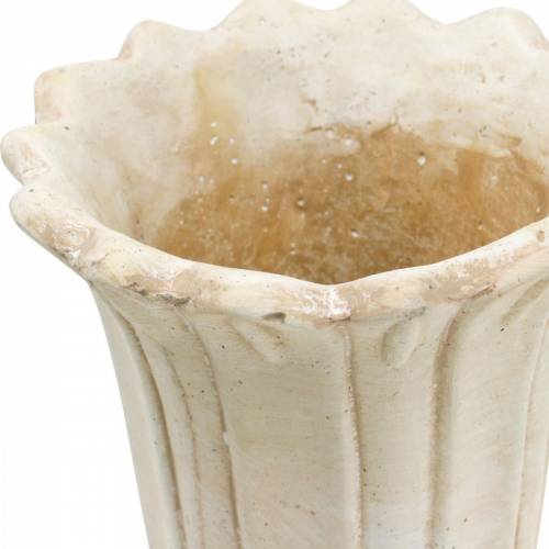 Floristik24 Ânfora decorativa, cálice para plantio, cálice jarro de plantação de tulipa Ø12cm H25.5cm 2pcs