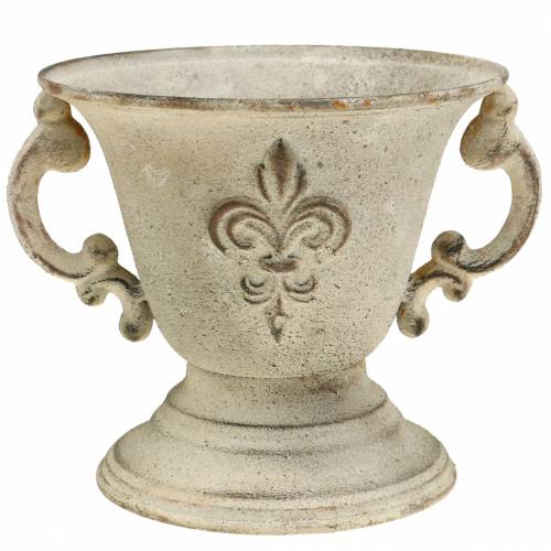 Floristik24 Taça Troféu Vintage Creme Ø15cm A13,5cm