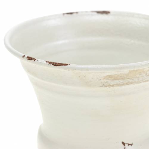 Floristik24 Copo Planta Cálice Creme Antigo Ø7,5cm Alt.9cm 1ud