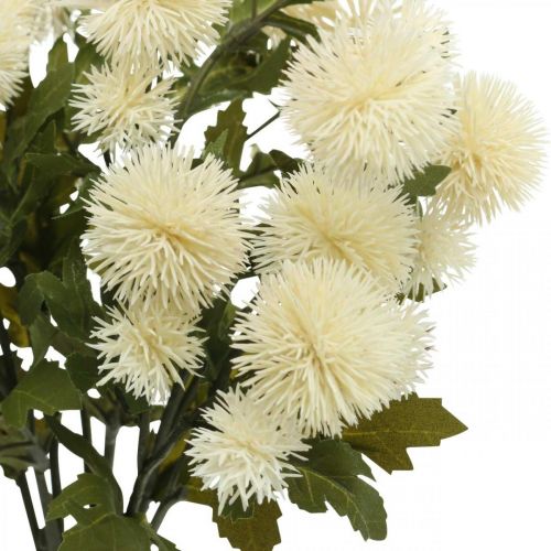 Floristik24 Ramo Pompom Creme Deco Ramo Outono 55cm 4 unidades