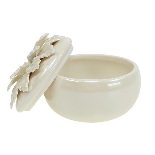 Floristik24 Frasco de porcelana creme Ø7,5cm A6cm