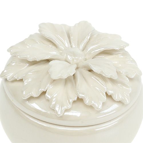 Floristik24 Frasco de porcelana creme Ø7,5cm A6cm