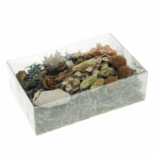 Floristik24 Herbstdeko Mix como conjunto de artesanato Seco Branqueado 150g