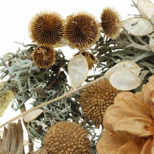 Floristik24 Herbstdeko Mix como conjunto de artesanato Seco Branqueado 150g