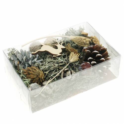 Floristik24 Conjunto de artesanato para floricultura a seco Cones de advento e musgo caiados 150g
