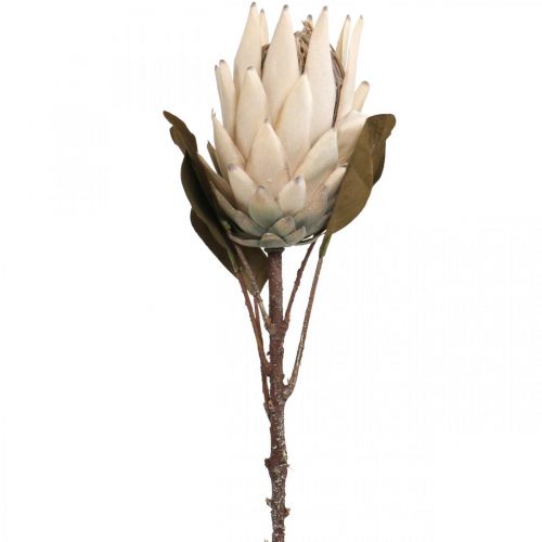 Protea Artificialmente Murcho Seco Bege Marrom Verde 72cm