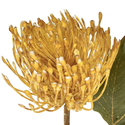 Itens Protea artificial Leucospermum alfineteiro amarelo 30cm 6 peças