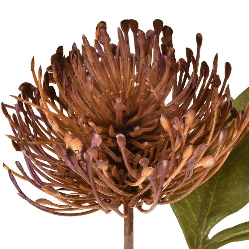 Itens Alfineteiro artificial Protea Leucospermum roxo 30cm 6 peças