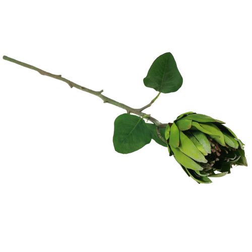 Itens Protea Flor Artificial Vermelha Verde Ramo Artificial L65cm Ø5,5cm