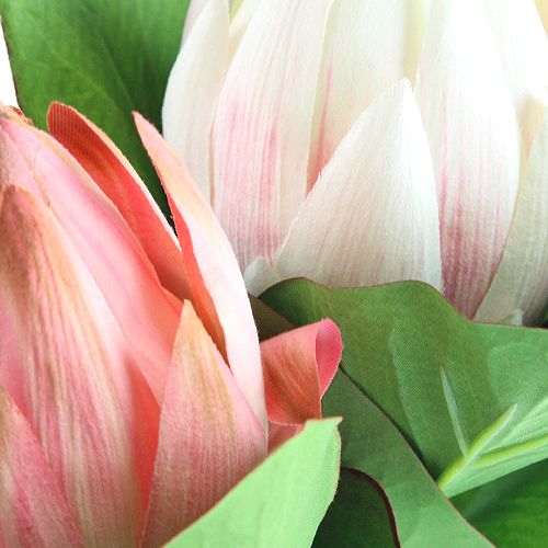 Itens Protea rosa 54cm 2pcs