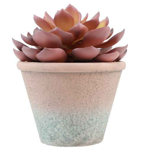 Itens Planta suculenta em vaso Echeveria artificial vermelho vintage Ø15cm Alt.16cm