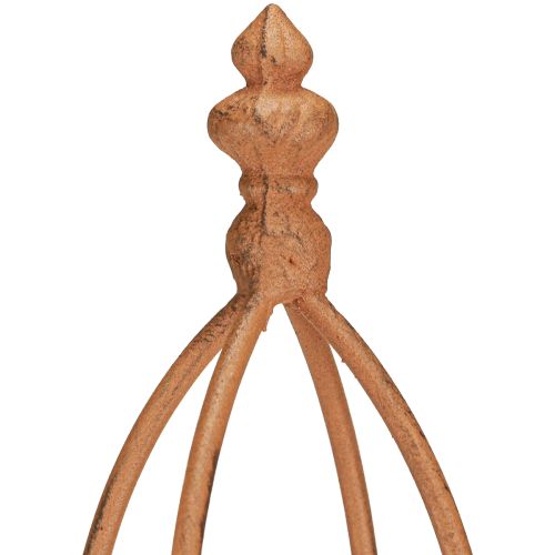 Floristik24 Trellis Metal Rust Look Obelisco 69/86cm Conjunto 2 peças