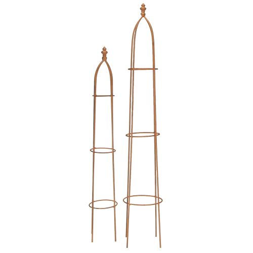 Floristik24 Trellis Metal Rust Look Obelisco 69/86cm Conjunto 2 peças