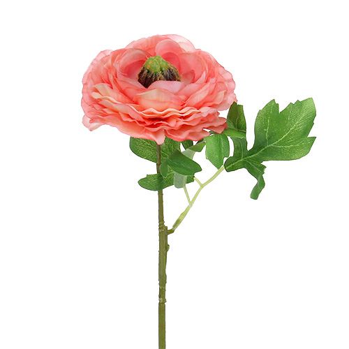 Floristik24 Ranúnculo rosa-rosa 27 cm 8 unidades