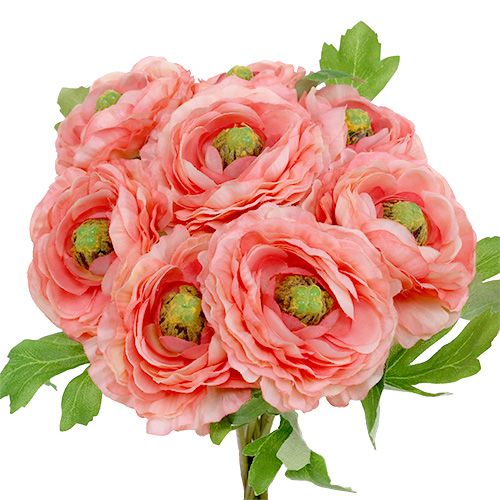 Floristik24 Ranúnculo rosa-rosa 27 cm 8 unidades