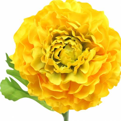 Floristik24 Ranúnculo amarelo Alt.45cm