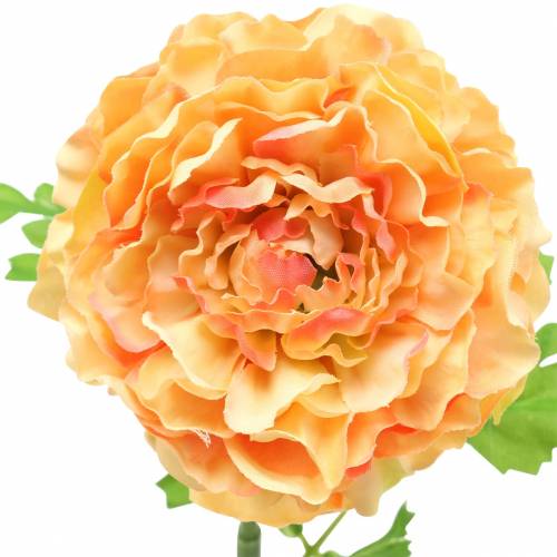 Itens Ranunculus salmon Alt.45cm