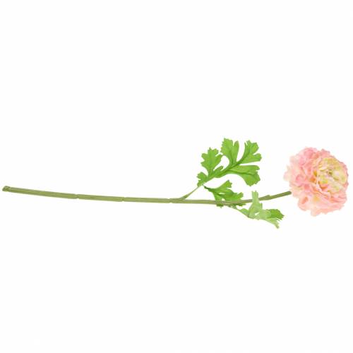 Itens Ranúnculo rosa Alt.45cm