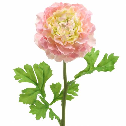 Ranúnculo rosa Alt.45cm
