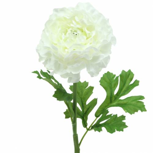 Ranúnculo branco Alt.45cm