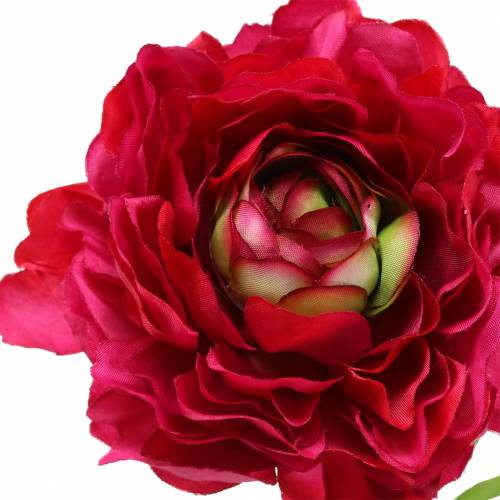 Floristik24 Ranúnculo rosa escuro artificial 51 cm