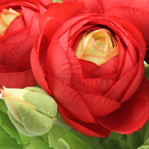 Floristik24 Buquê de ranúnculo vermelho 30cm
