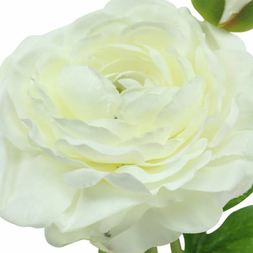 Floristik24 Ranúnculo de flor artificial com flor e botão branco Alt.34cm