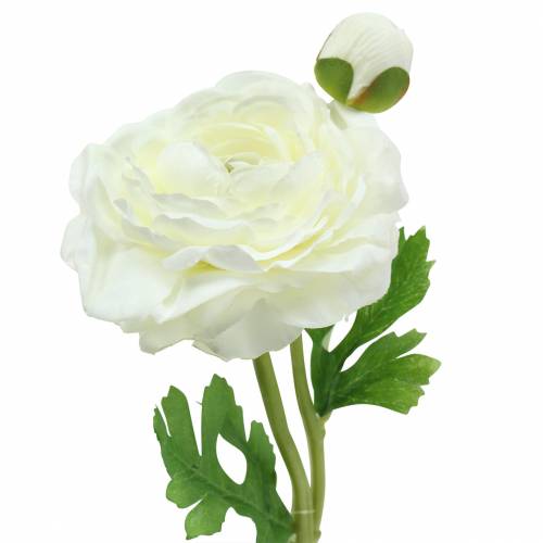 Floristik24 Ranúnculo de flor artificial com flor e botão branco Alt.34cm