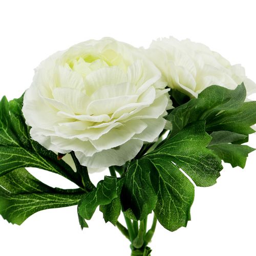 Floristik24 Buquê de ranúnculo branco L18cm